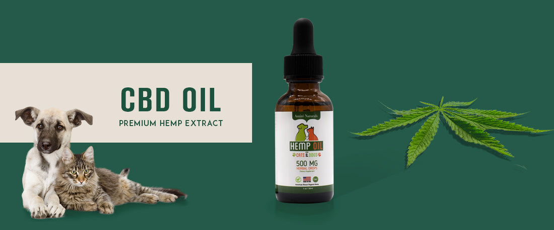 cbd-oil-marijuana-hemp-extract-oil-for-pets-humans