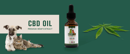 cbd-oil-marijuana-hemp-extract-oil-for-pets-humans
